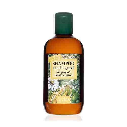 ARDES Шампунь для жирных волос, от облысения Shampoo capelli grassi арт. 131901937