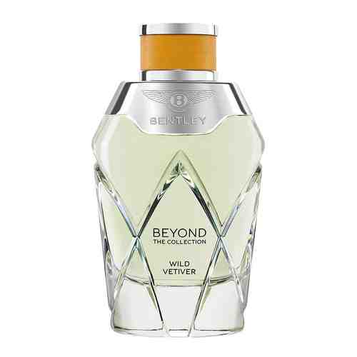 BENTLEY Beyond the Collection Wild Vetiver арт. 118300278