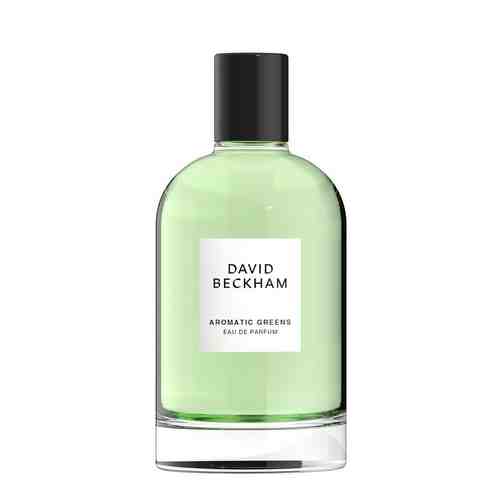 DAVID BECKHAM Collection Aromatic Greens арт. 127400829