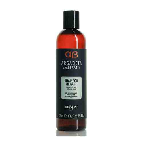 DIKSON Шампунь для ослабленных и химически обработанных волос с протеинами риса и сои арт. 122100404
