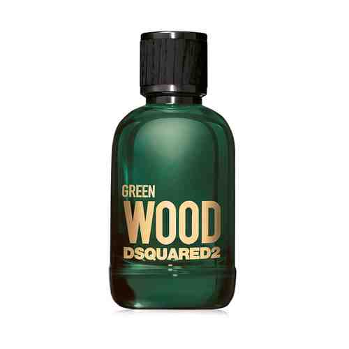 DSQUARED2 Green Wood арт. 98400038