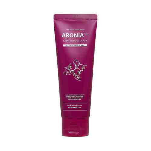 EVAS Pedison Шампунь для волос Арония Institute-beaut Aronia Color Protection Shampoo арт. 126100105