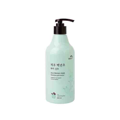 FLOR DE MAN Шампунь для волос Jeju Prickly Pear Hair Shampoo арт. 125101008