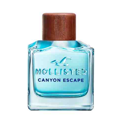 HOLLISTER Canyon Escape for Him арт. 123100070