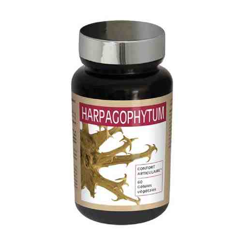 NUTRI EXPERT Природный анальгетик Корень чертова когтя (Гарпагофитум) 432 мг арт. 122000695