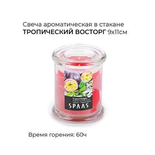 SPAAS Свеча ароматическая в стакане Тропический восторг арт. 131900487